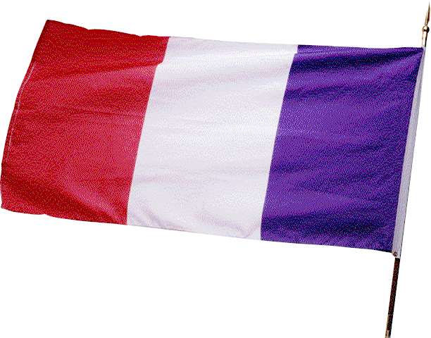 France Flag.gif (69860 bytes)